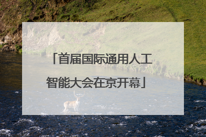 首届国际通用人工智能大会在京开幕